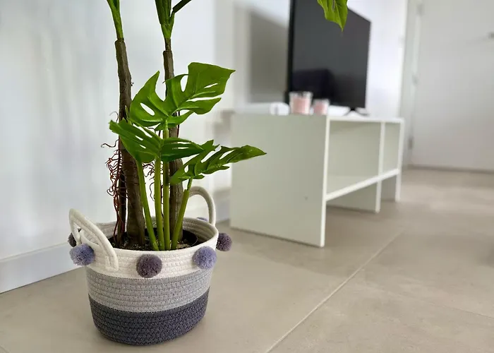 Апартаменты Aurora Abode